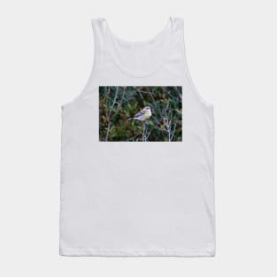 Yellow Rump Warbler Tank Top